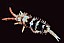 seira_sp_1.jpg