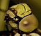 aeschna_cyanea_femelle_tete.jpg