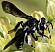 andrena_agilissima_femelle.jpg