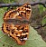 apatura_ilia_clytie.jpg