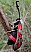 zygaena_rhadamanthus.jpg