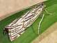 chrysocrambus_cratarella