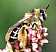 dasypoda_hirtipes_femelle.jpg
