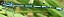 coenagrion_puella_male_1.jpg